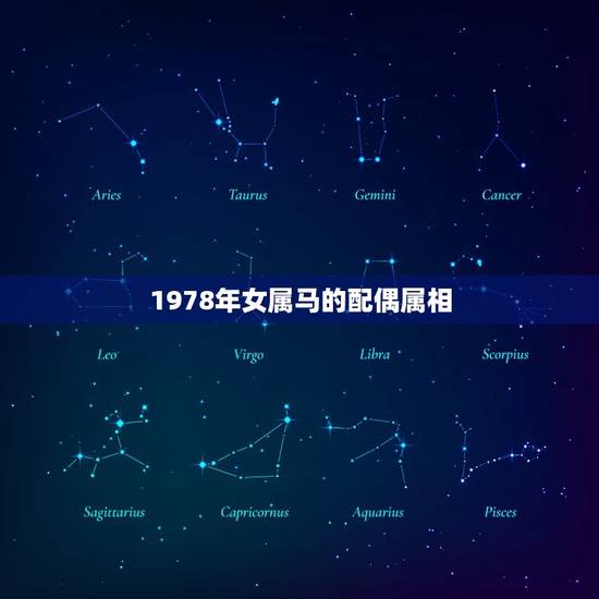 1978年女属马的配偶属相(如何选择最合适的伴侣)