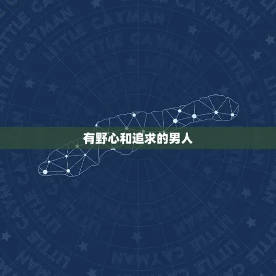 有野心和追求的男人