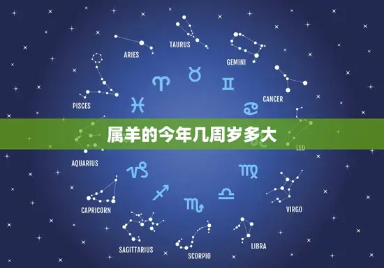 属羊的今年几周岁多大