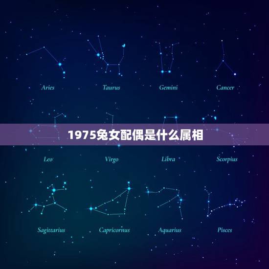 1975兔女配偶是什么属相(寻找伴侣)