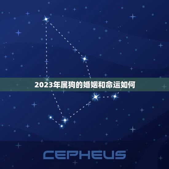 2023年属狗的婚姻和命运如何(幸福婚姻与事业双丰收)