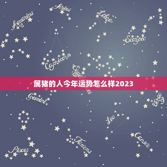 属猪的人今年运势怎么样2023(猪年大吉财运亨通) 属猪的人今年运势怎么样2023(猪年大吉财运亨通)