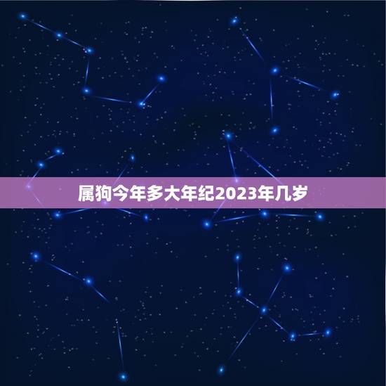 属狗今年多大年纪2023年几岁(狗年人的年龄计算方法详解)