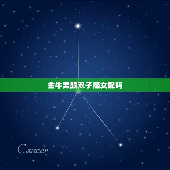 金牛男跟双子座女配吗