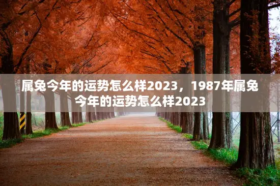 属兔今年的运势怎么样2023，1987年属兔今年的运势怎么样2023