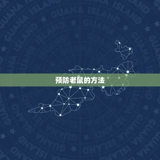 预防老鼠的方法