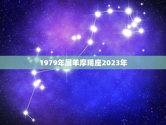 1979年属羊摩羯座2023年(运势展望)
