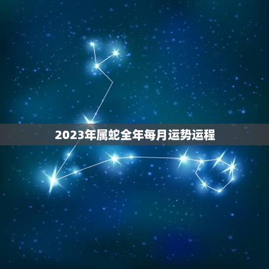 2023年属蛇全年每月运势运程(详解顺风顺水财运亨通)