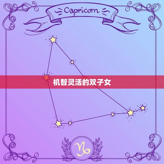 机智灵活的双子女