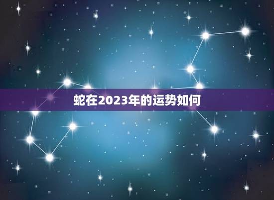 蛇在2023年的运势如何(预测蛇年运势)