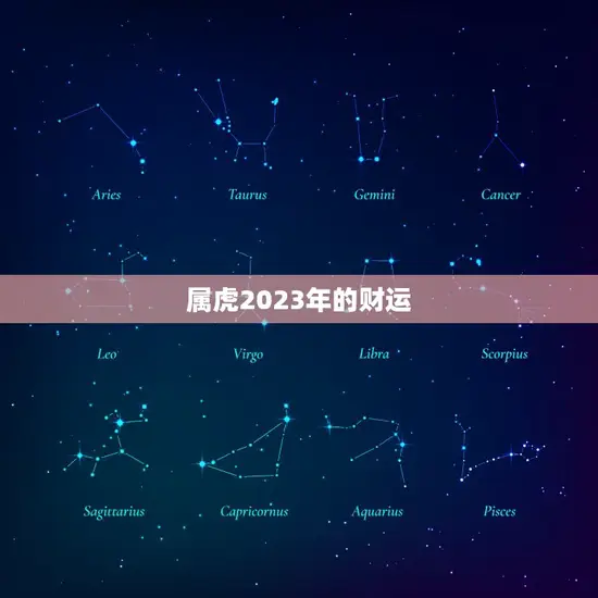 属虎2023年的财运