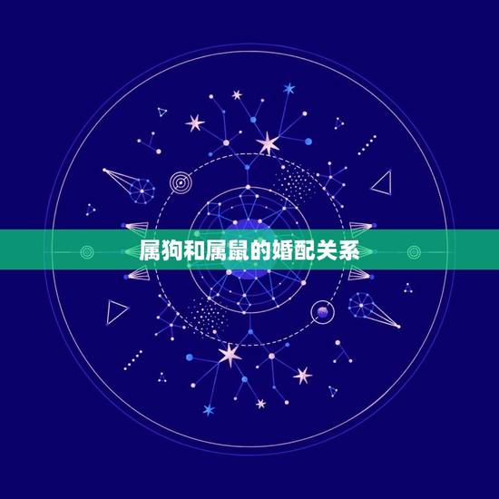 属狗和属鼠的婚配关系