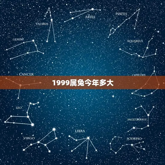 1999属兔今年多大
