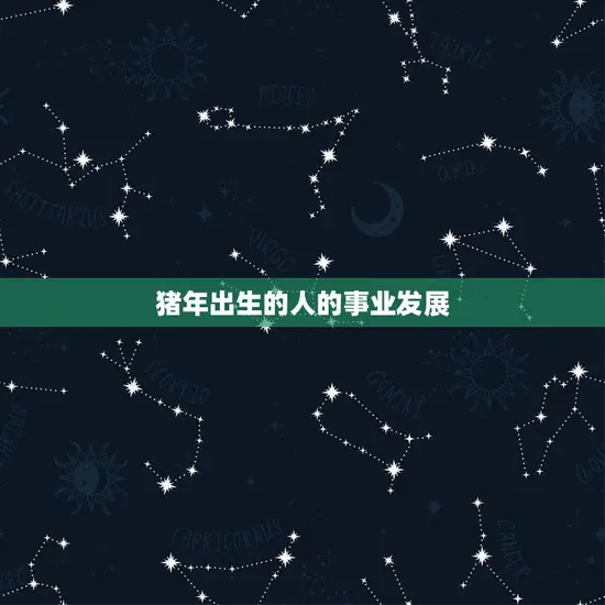 猪年出生的人的事业发展
