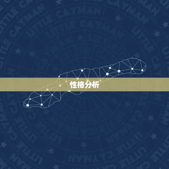 性格分析 性格分析