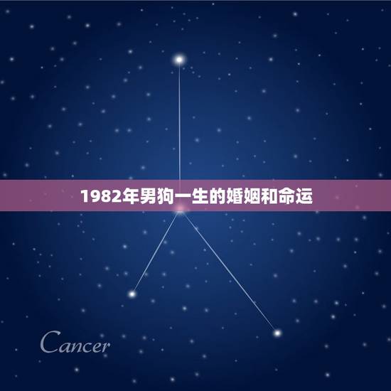 1982年男狗一生的婚姻和命运(预测婚姻美满命运波折)