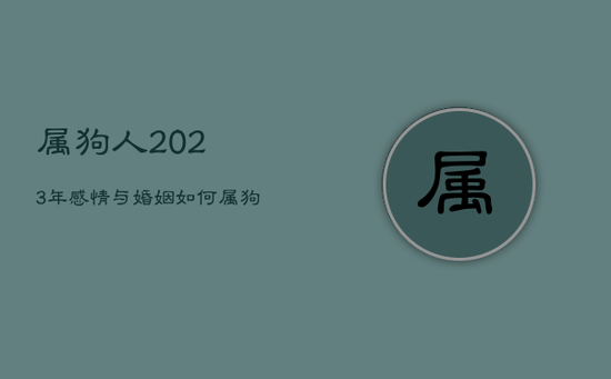 属狗人2023年感情与婚姻如何，属狗的人在2023年的运势怎么样