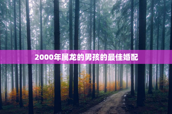 2000年属龙的男孩的最佳婚配，2000年属龙男孩配啥属相