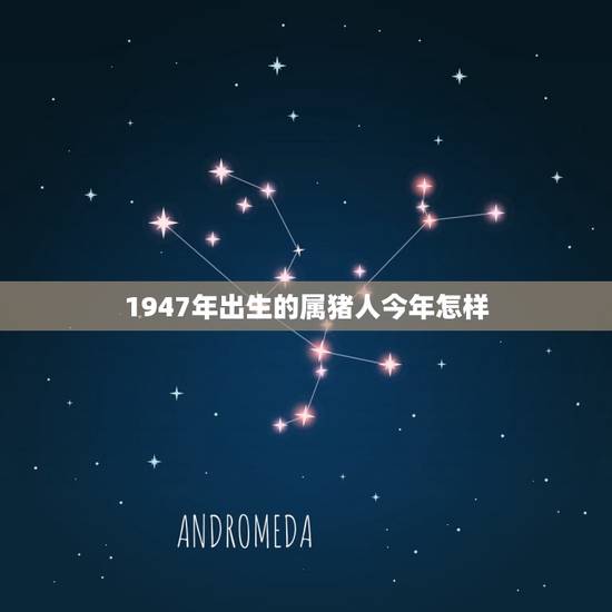 1947年出生的属猪人今年怎样(猪年运势大介绍)