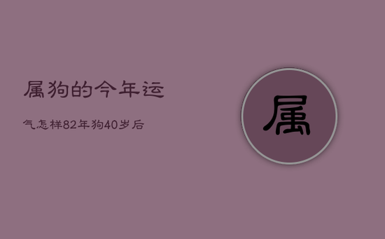 属狗的今年运气怎样，82年狗40岁后十年大运运程