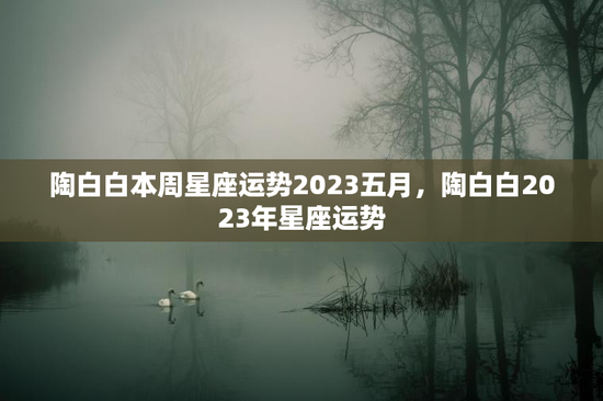 陶白白本周星座运势2023五月，陶白白2023年星座运势