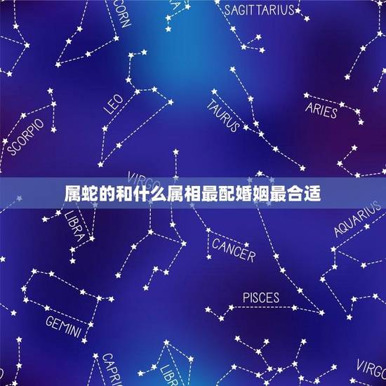 属蛇的和什么属相最配婚姻最合适(十二生肖中配对)