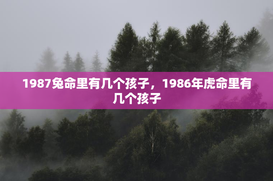 1987兔命里有几个孩子，1986年虎命里有几个孩子