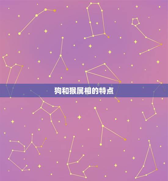 狗和猴属相的特点