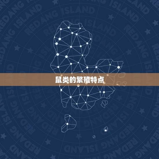 鼠类的繁殖特点