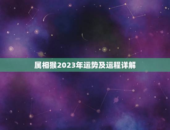 属相猴2023年运势及运程详解(猴子迎来好运)