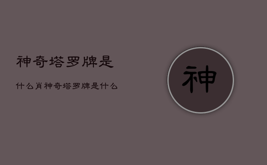 神奇塔罗牌是什么肖,神奇塔罗牌是什么肖像 神奇塔罗牌是什么肖,神奇塔罗牌是什么肖像