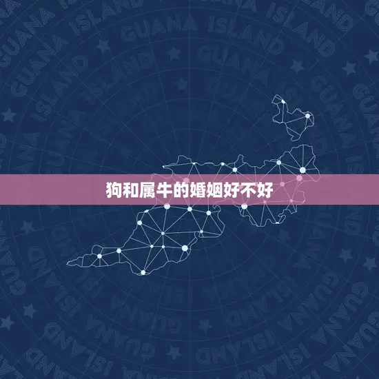 狗和属牛的婚姻好不好