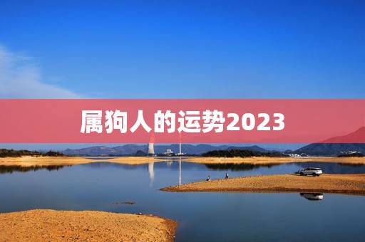 属狗人的运势2023(狗年大展宏图)