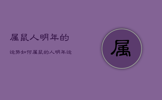 属鼠人明年的运势如何，属鼠的人明年运气如何