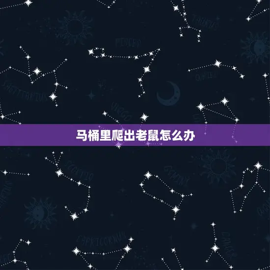 马桶里爬出老鼠怎么办