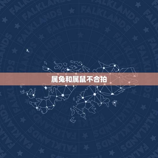 属兔和属鼠不合拍