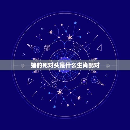 猪的死对头是什么生肖配对(十二生肖相克详解)