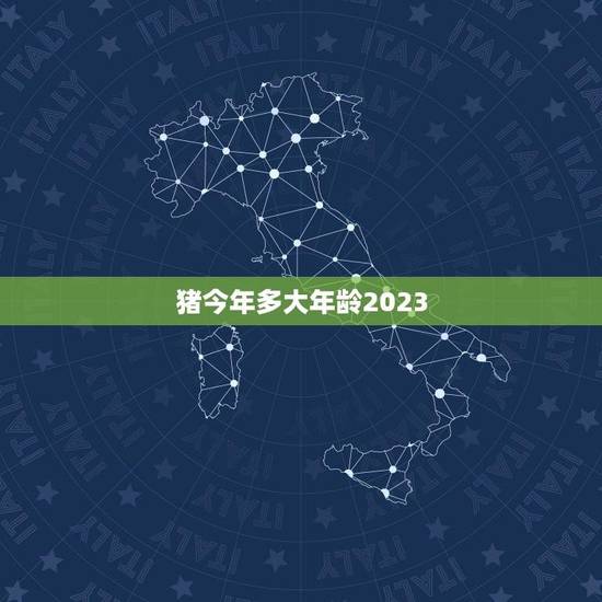 猪今年多大年龄2023(详解猪年龄计算方法及相关知识)