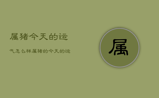 属猪今天的运气怎么样，属猪的今天的运气好不好