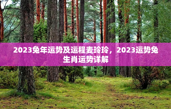 2023兔年运势及运程麦玲玲，2023运势兔生肖运势详解
