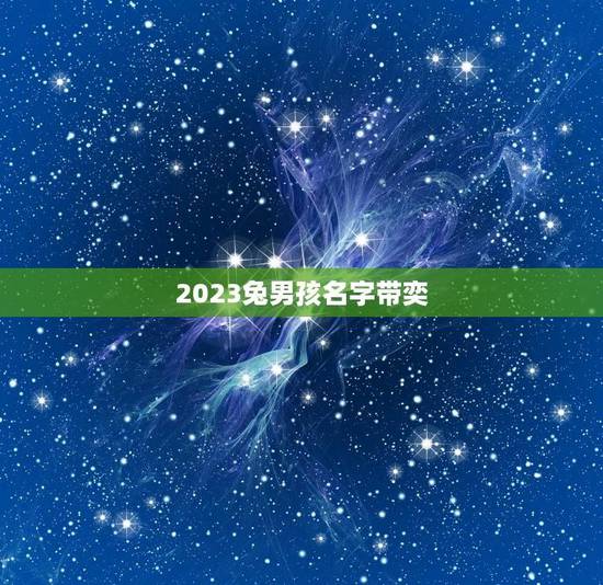 2023兔男孩名字带奕(寻找带有奕字的独特男孩名)
