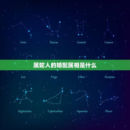 属蛇人的婚配属相是什么