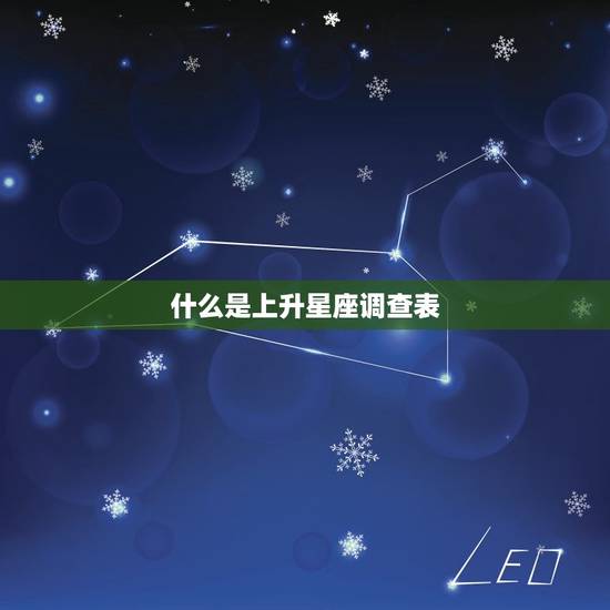 什么是上升星座调查表
