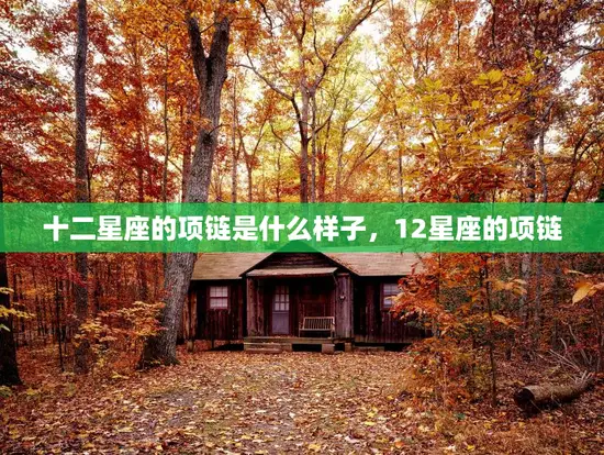 十二星座的项链是什么样子，12星座的项链