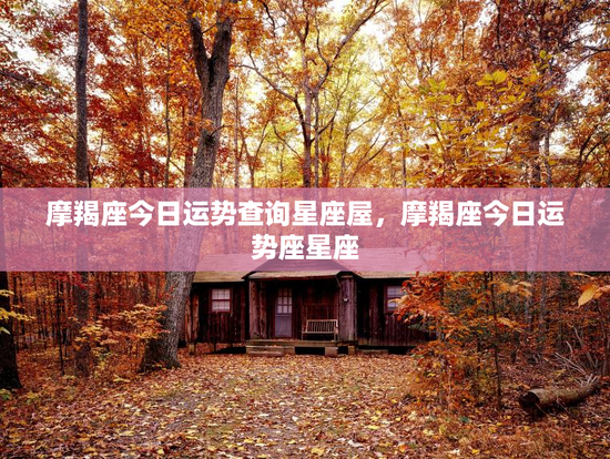 摩羯座今日运势查询星座屋，摩羯座今日运势座星座