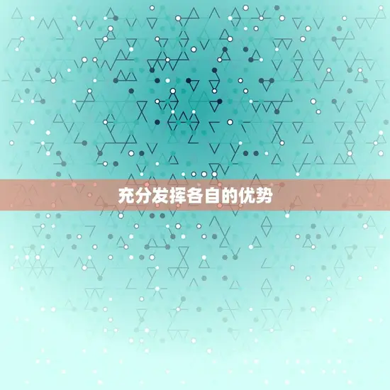 充分发挥各自的优势 充分发挥各自的优势