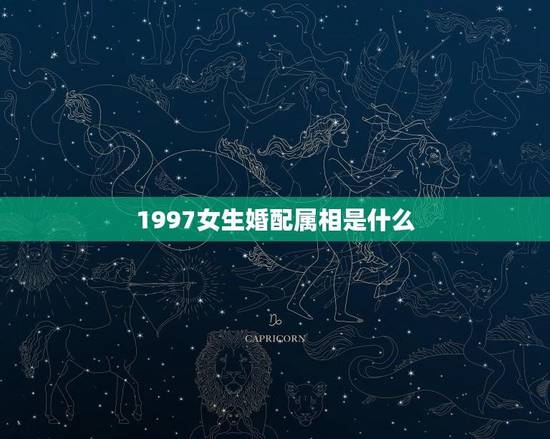 1997女生婚配属相是什么(寻找伴侣)