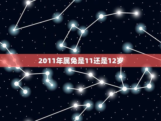 2011年属兔是11还是12岁(详解属兔人的年龄计算方法)