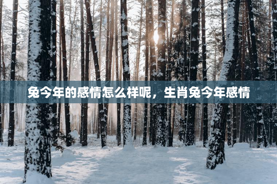 兔今年的感情怎么样呢，生肖兔今年感情