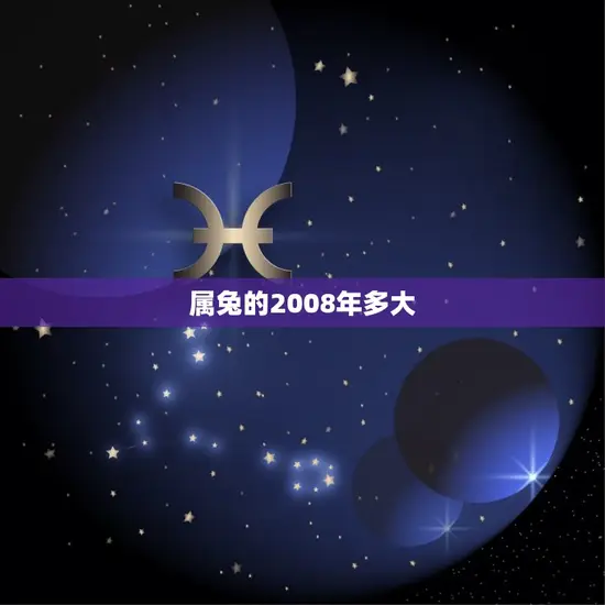 属兔的2008年多大